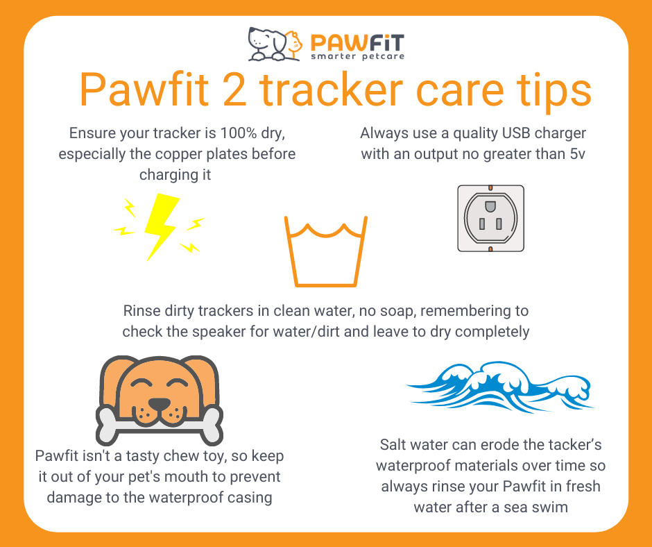Pawfit_tracker_care_tips__2_.png