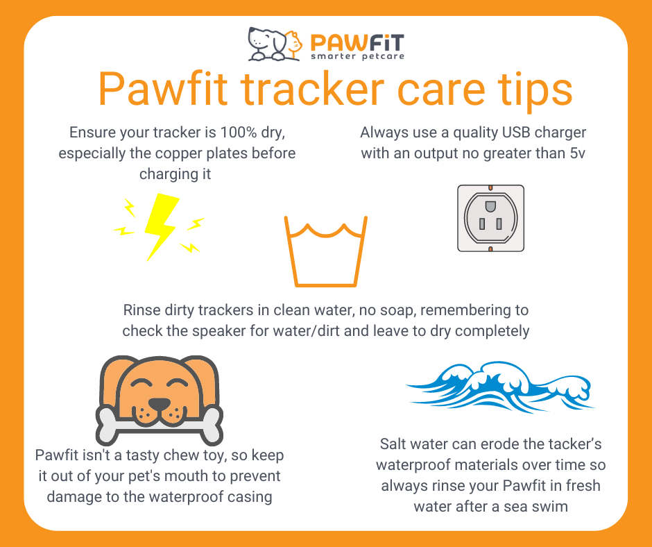 Pawfit_tracker_care_tips.png