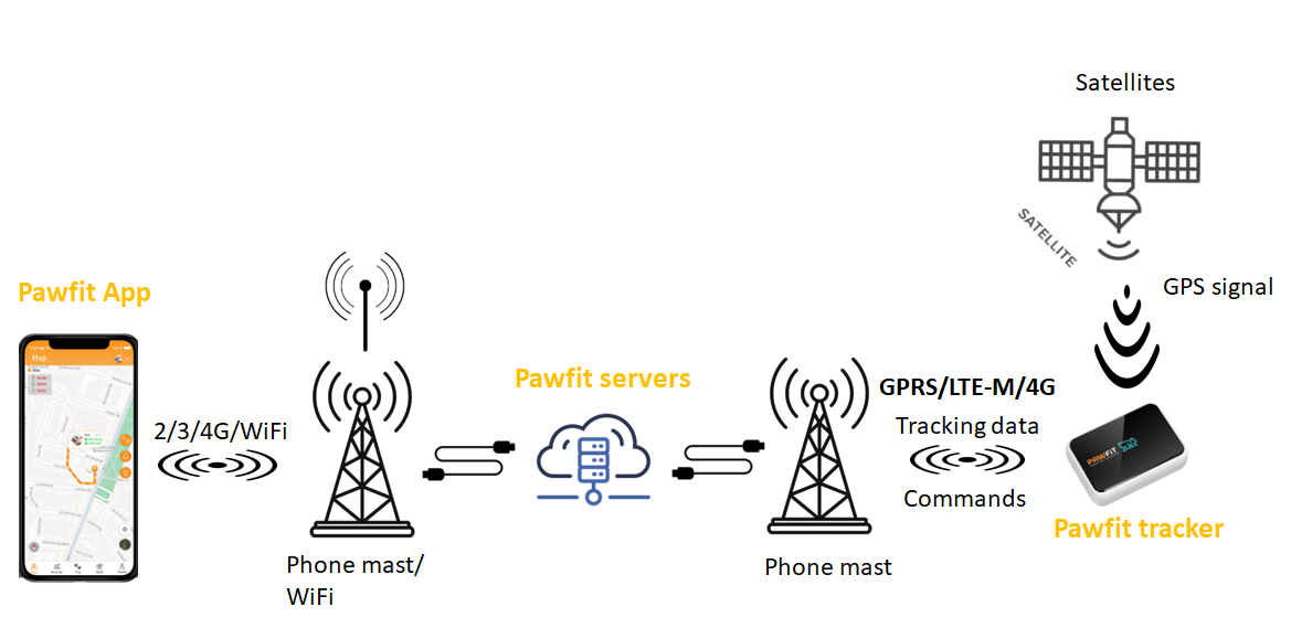 What is Pawfit and how does it work Pawfit Support